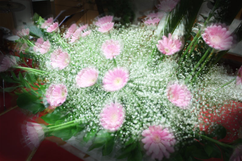 1115_1454417498_1.jpg